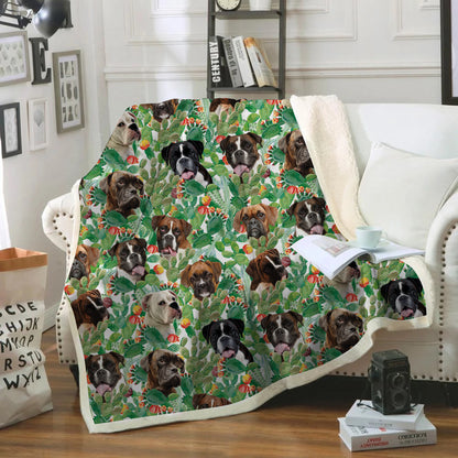 Boxerhund - Bunte Decke V2