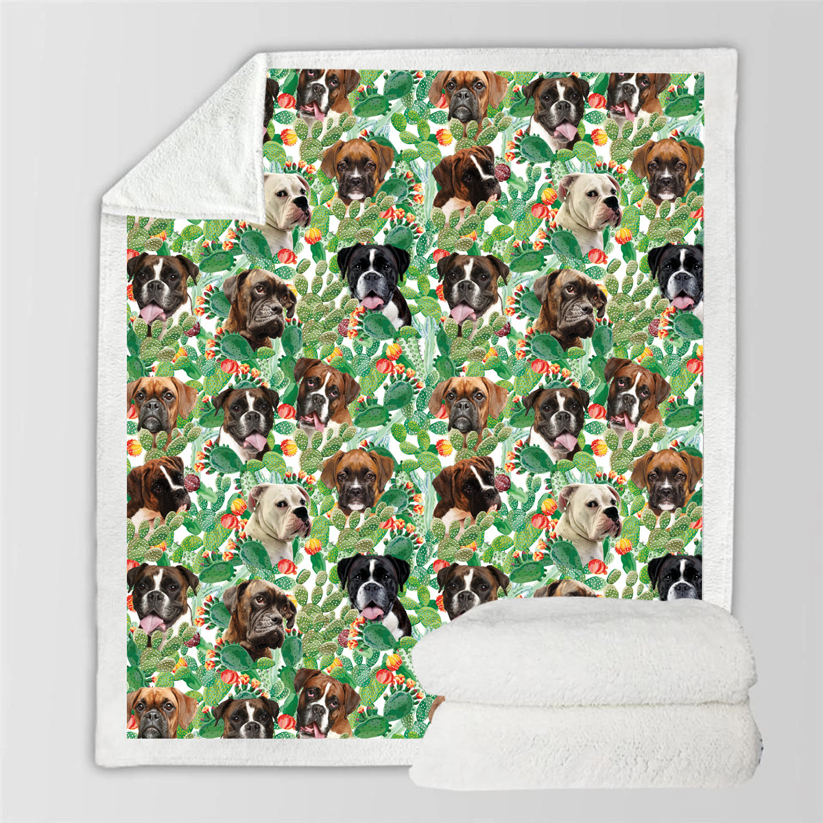 Boxerhund - Bunte Decke V2