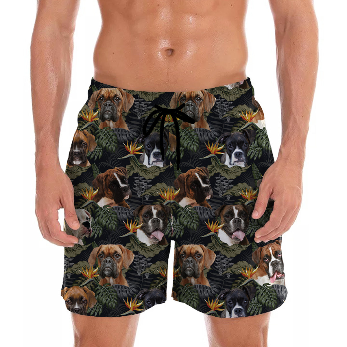 Boxer Dog - Short Hawaïen V3