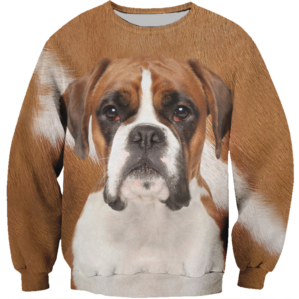 Boxer Sweatshirt V1