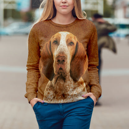 Sweat Bracco Italiano V1