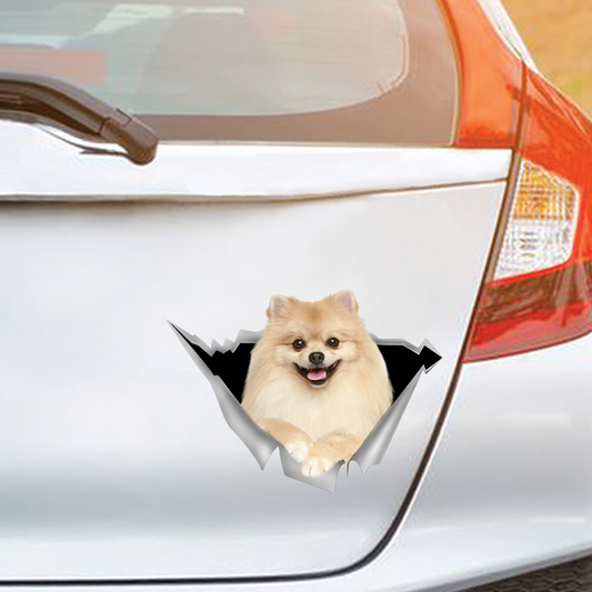 We Like Riding In Cars - Pomeranian Car/ Door/ Fridge/ Laptop Sticker V3