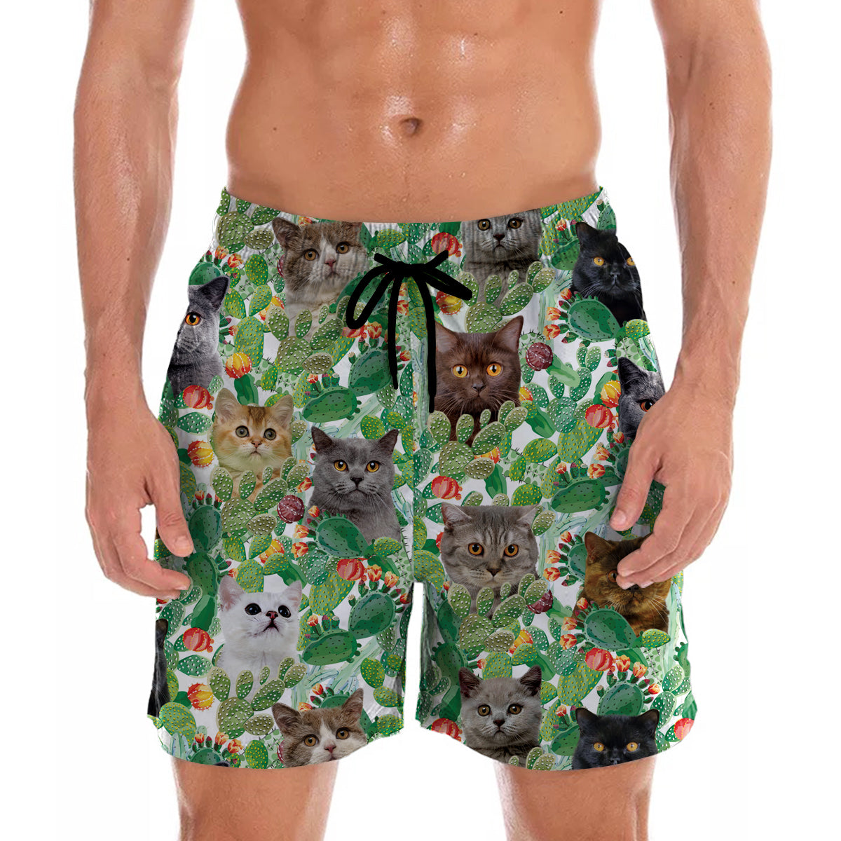 British Shorthair Cat - Hawaiian Shorts V1