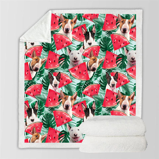 Bull Terrier - Colorful Blanket V2
