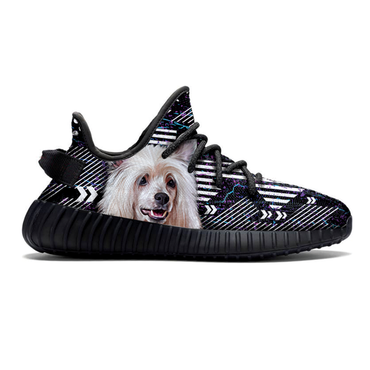Walk With Your Chinese Crested - Sneakers V1