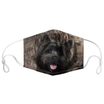 Cairn Terrier F-Mask V1