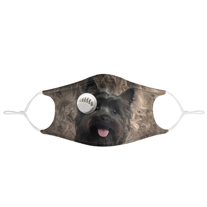 Cairn Terrier F-Mask V1