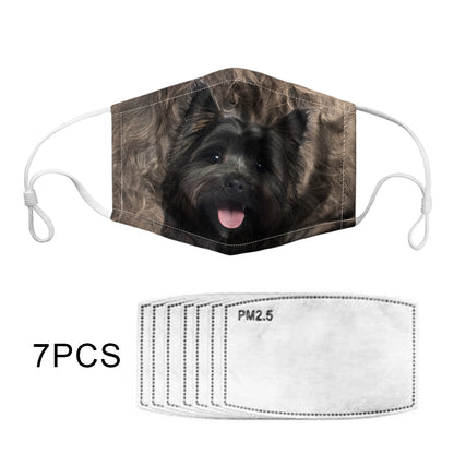 Cairn Terrier F-Mask V1