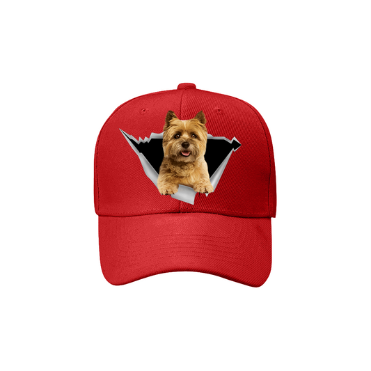 Fan Club du Cairn Terrier - Chapeau V2