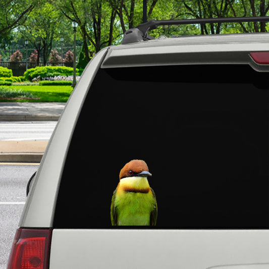 Can You See Me Now - Bird Car/ Door/ Fridge/ Laptop Sticker V1