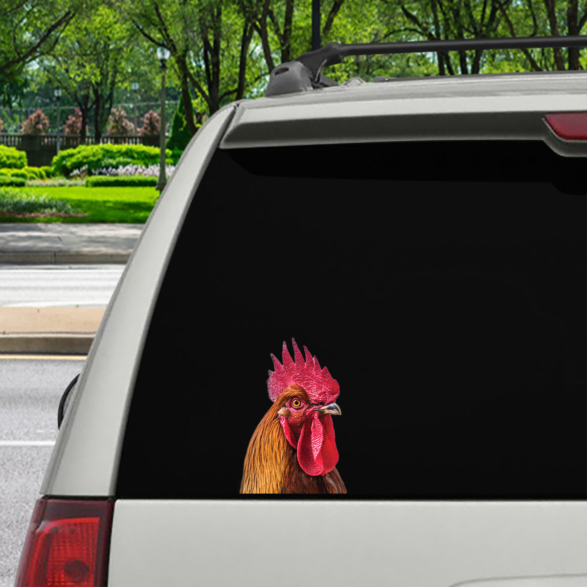 Can You See Me Now - Chicken Car/ Door/ Fridge/ Laptop Sticker V1