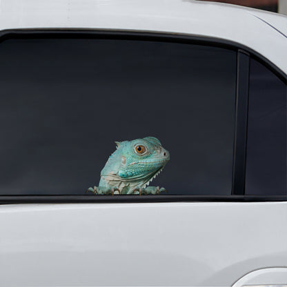 Can You See Me Now - Iguana Car/ Door/ Fridge/ Laptop Sticker V2