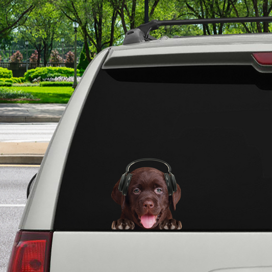 Can You See Me Now - Labrador Car/ Door/ Fridge/ Laptop Sticker V7