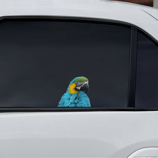 Can You See Me Now - Parrot Car/ Door/ Fridge/ Laptop Sticker V1