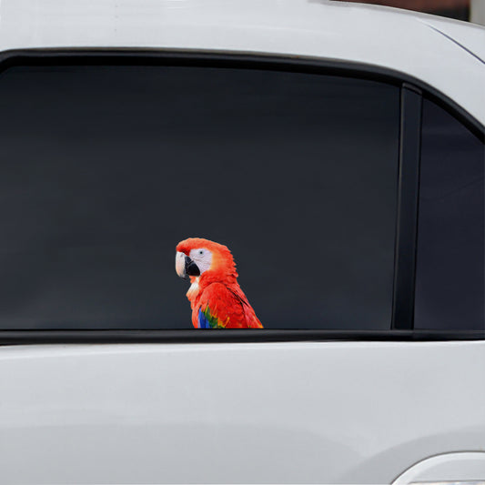 Can You See Me Now - Parrot Car/ Door/ Fridge/ Laptop Sticker V2