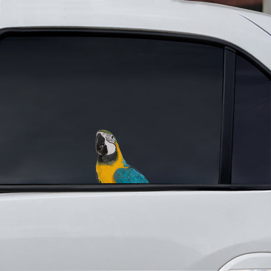 Can You See Me Now - Parrot Car/ Door/ Fridge/ Laptop Sticker V3
