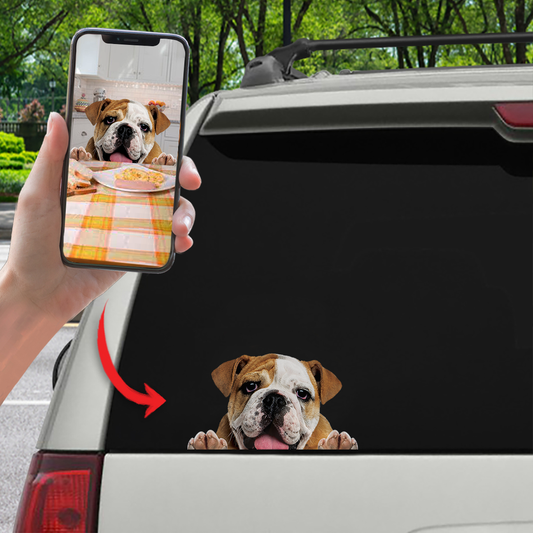 Can You See Me Now - Personalized Sticker With Your Pet's Photo V1