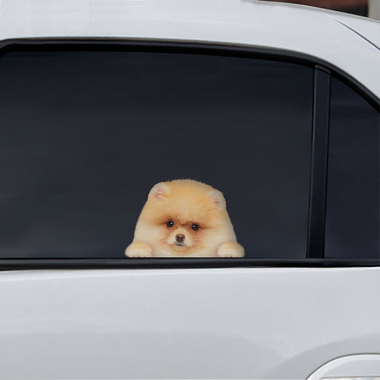 Can You See Me Now - Pomeranian Car/ Door/ Fridge/ Laptop Sticker V5