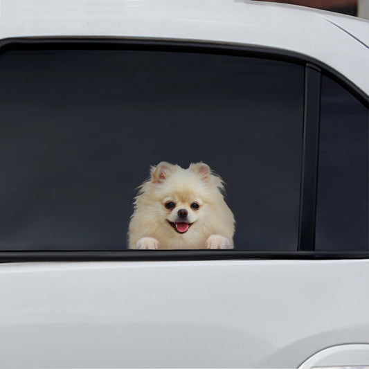 Can You See Me Now - Pomeranian Car/ Door/ Fridge/ Laptop Sticker V6