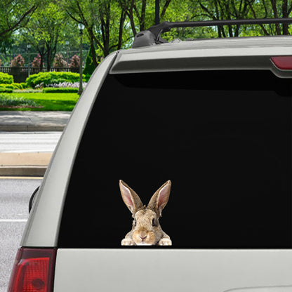 Can You See Me Now - Rabbit Car/ Door/ Fridge/ Laptop Sticker V1