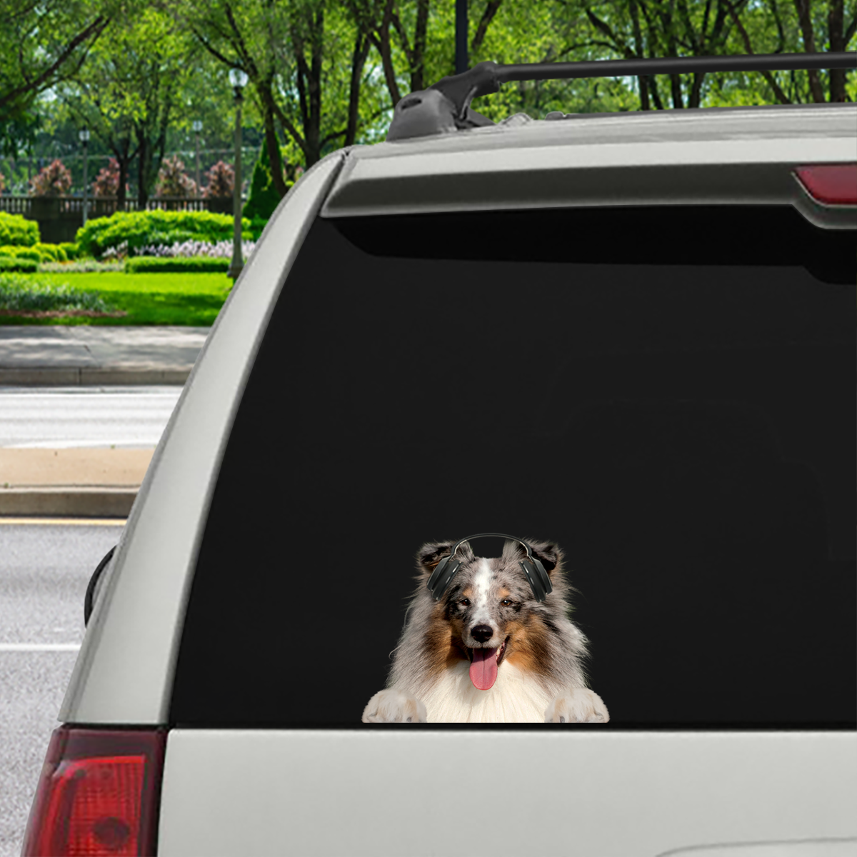 Can You See Me Now - Shetland Sheepdog Car/ Door/ Fridge/ Laptop Sticker V5