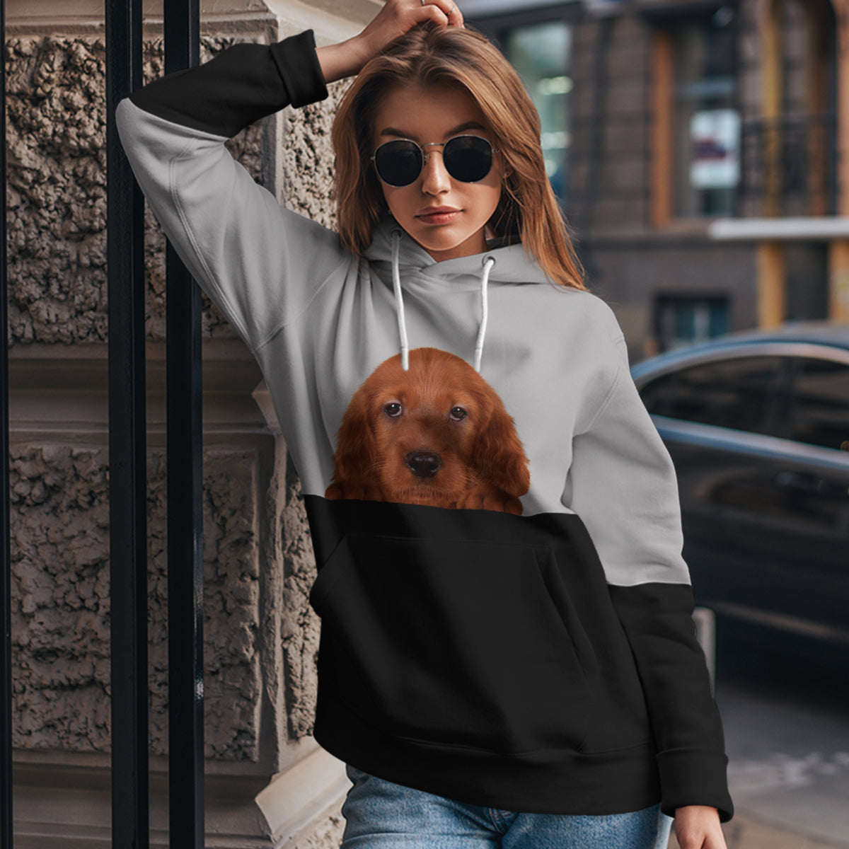 Can You See Me - Irish Setter Hoodie V1