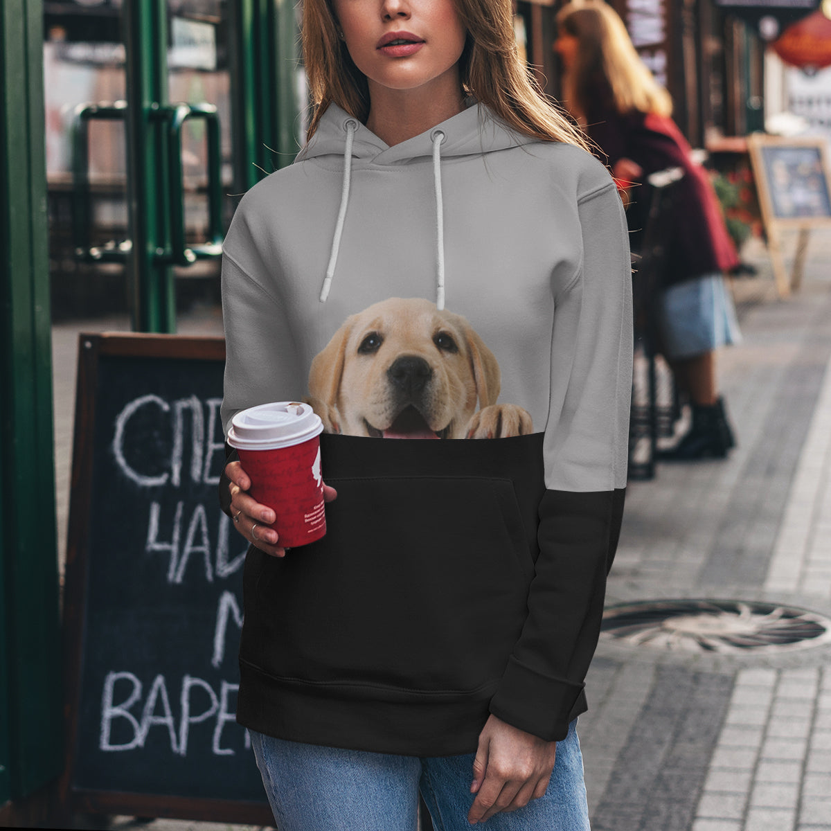 Can You See Me - Labrador Hoodie V2