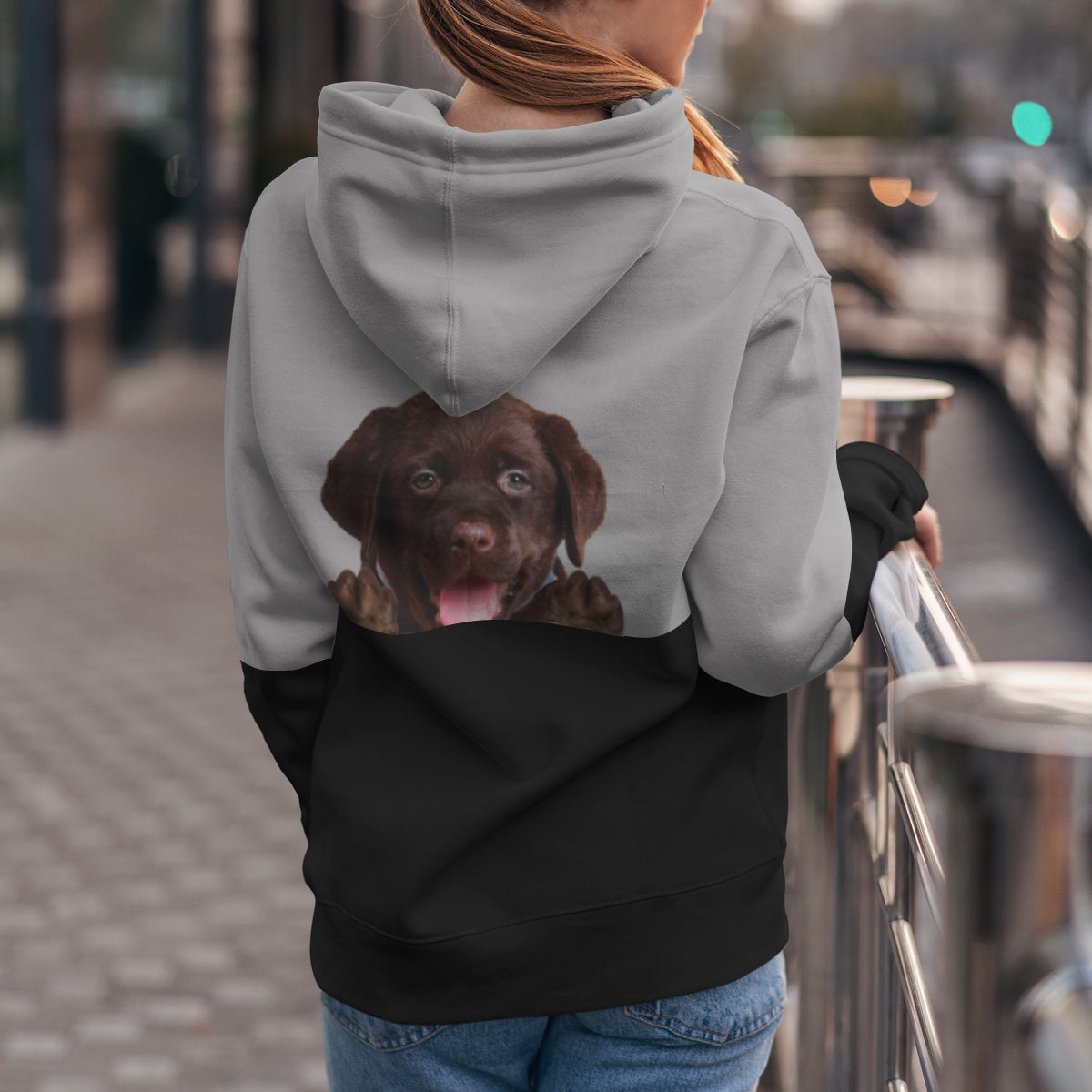 Can You See Me - Labrador Hoodie V3