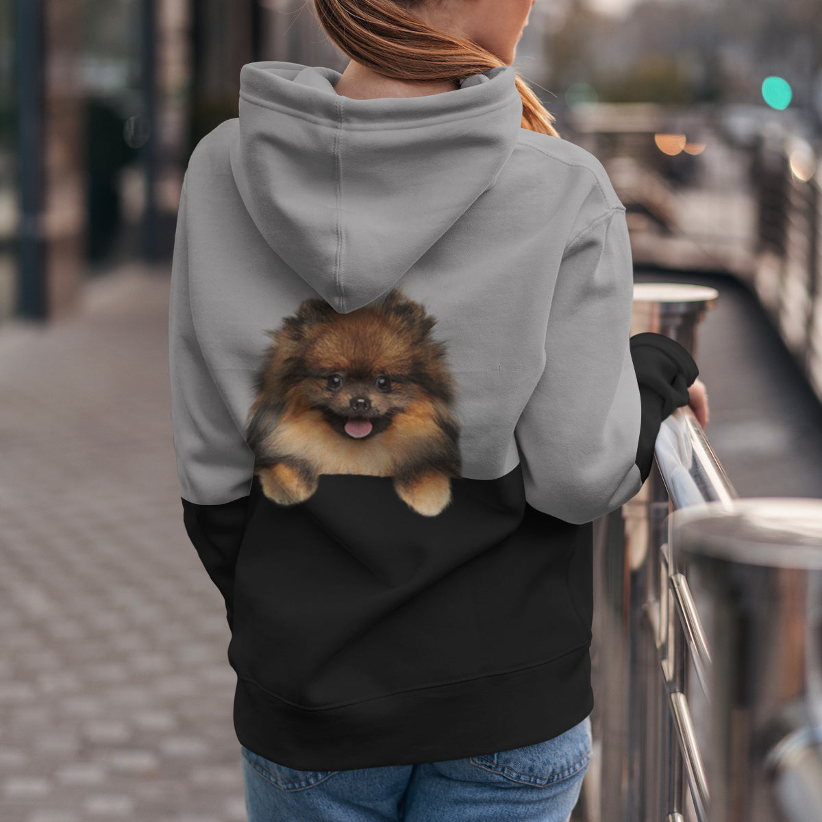 Can You See Me - Pomeranian Hoodie V2