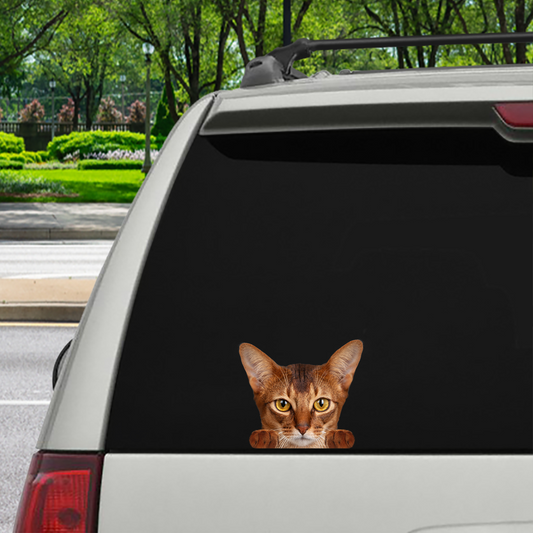 Can You See Me Now - Abyssinian Cat Car/ Door/ Fridge/ Laptop Sticker V1