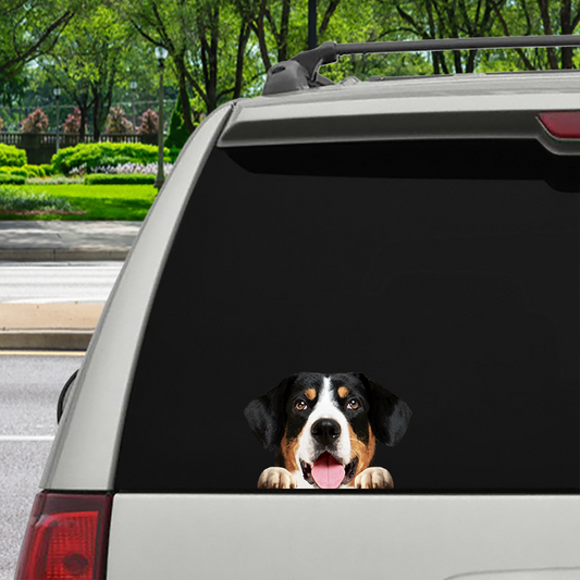 Can You See Me Now - Appenzeller Sennenhund Car/ Door/ Fridge/ Laptop Sticker V1