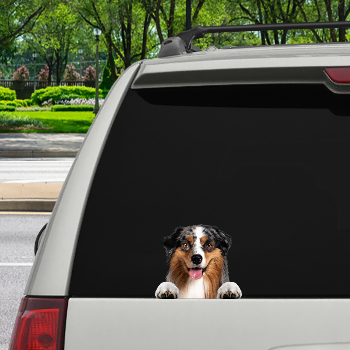 Can You See Me Now - Australian Shepherd Car/ Door/ Fridge/ Laptop Sticker V3