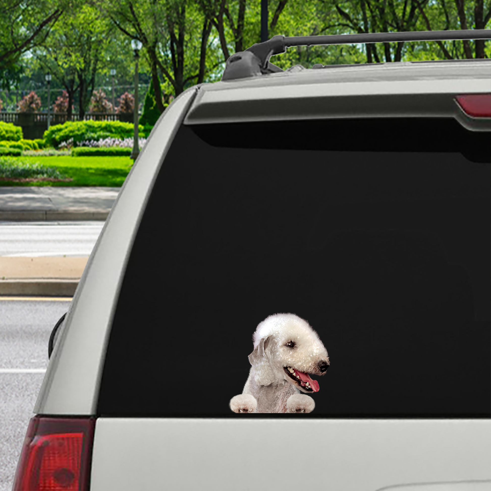 Can You See Me Now - Bedlington Terrier Car/ Door/ Fridge/ Laptop Sticker V1