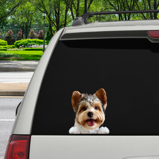 Can You See Me Now - Biewer Terrier Car/ Door/ Fridge/ Laptop Sticker V2