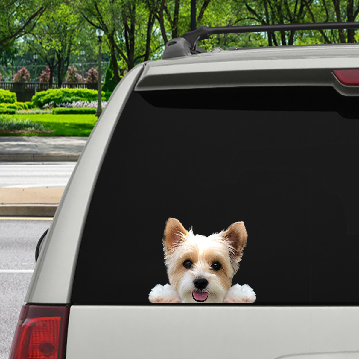 Can You See Me Now - Biewer Terrier  Car/ Door/ Fridge/ Laptop Sticker V3