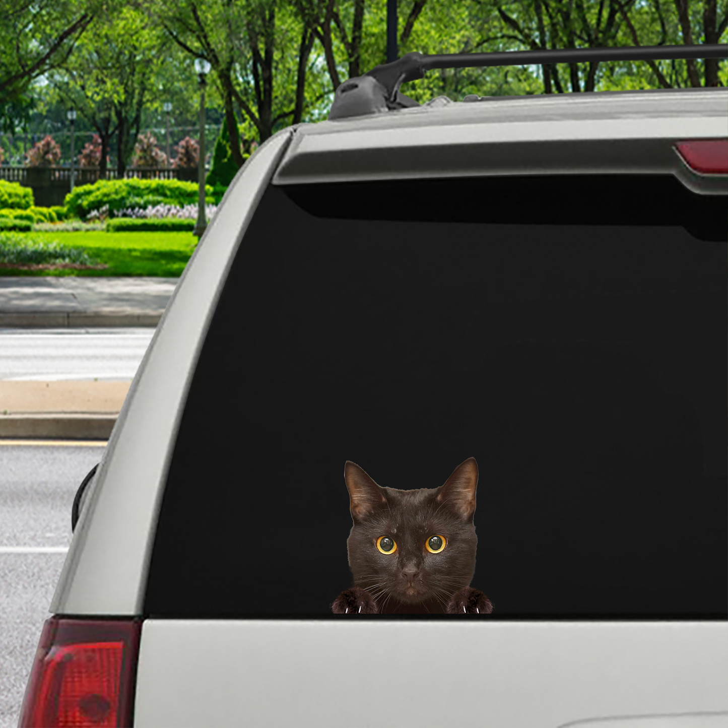 Can You See Me Now - Bombay Cat Car/ Door/ Fridge/ Laptop Sticker V1