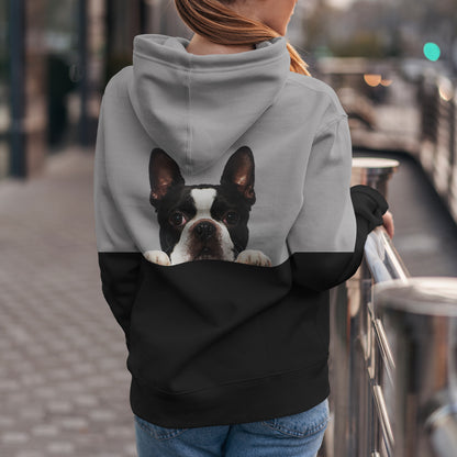Can You See Me - Boston Terrier Hoodie V1