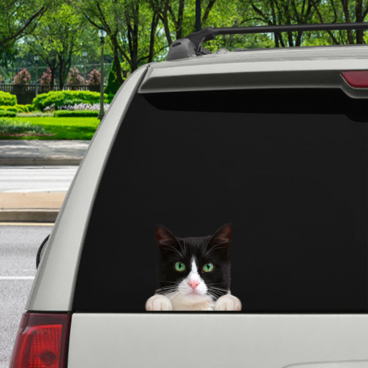 Can You See Me Now - British Shorthair Cat Car/ Door/ Fridge/ Laptop Sticker V4