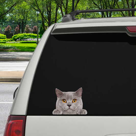 Can You See Me Now - British Shorthair Cat Car/ Door/ Fridge/ Laptop Sticker V5