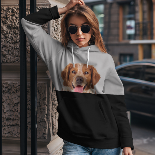 Can You See Me - Brittany Spaniel Hoodie V1