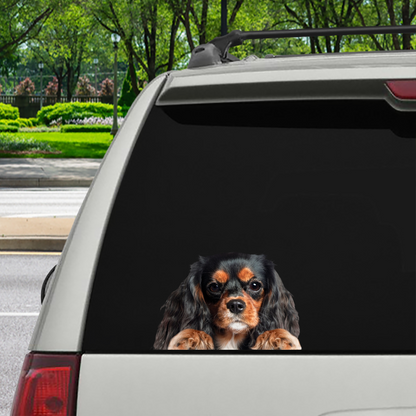 Can You See Me Now - Cavalier King Charles Spaniel Car/ Door/ Fridge/ Laptop Sticker V4