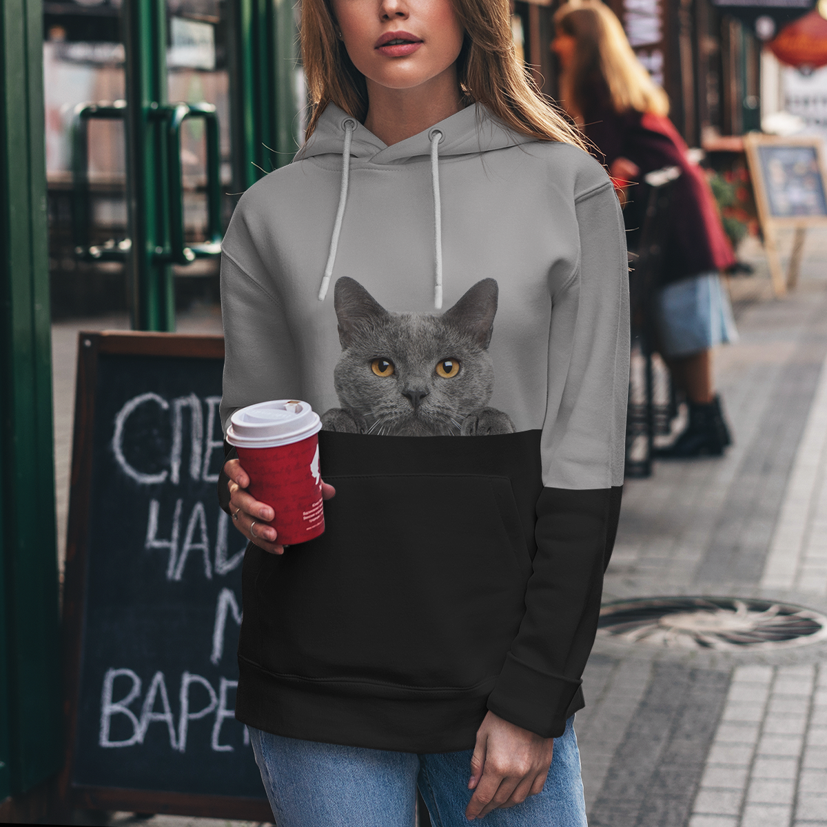 Can You See Me - Chartreux Cat Hoodie V1