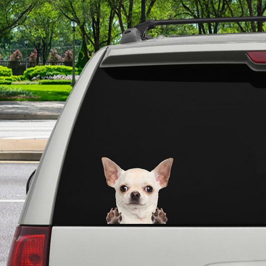 Can You See Me Now - Chihuahua Car Sticker V6