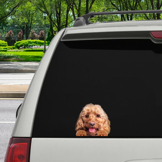 Can You See Me Now - Cockapoo Car/ Door/ Fridge/ Laptop Sticker V1