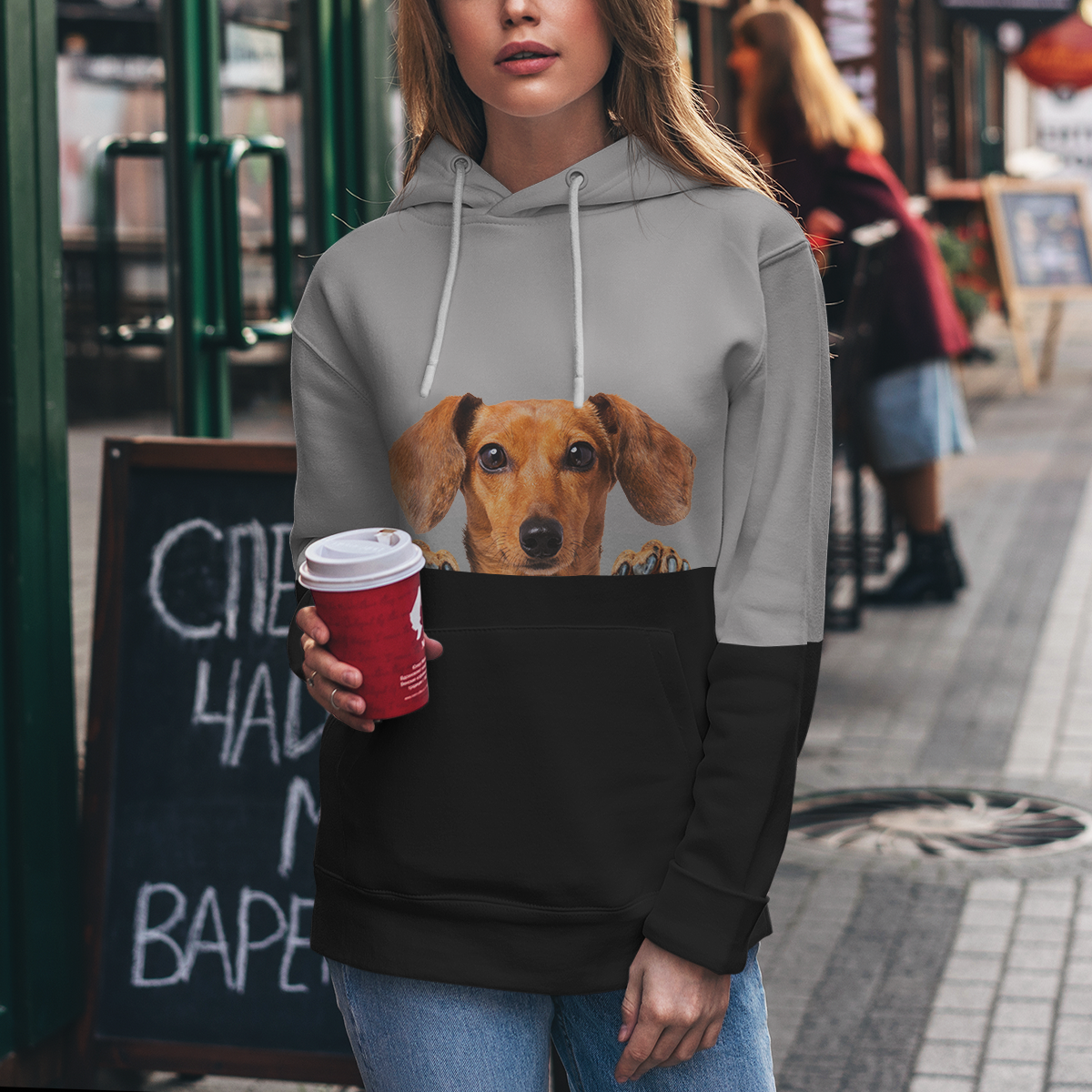 Can You See Me - Dachshund Hoodie V2