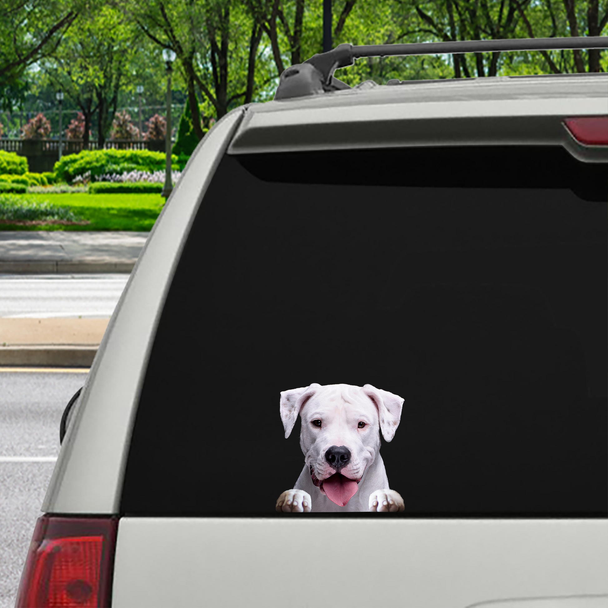 Can You See Me Now - Dogo Argentino Car/ Door/ Fridge/ Laptop Sticker V1