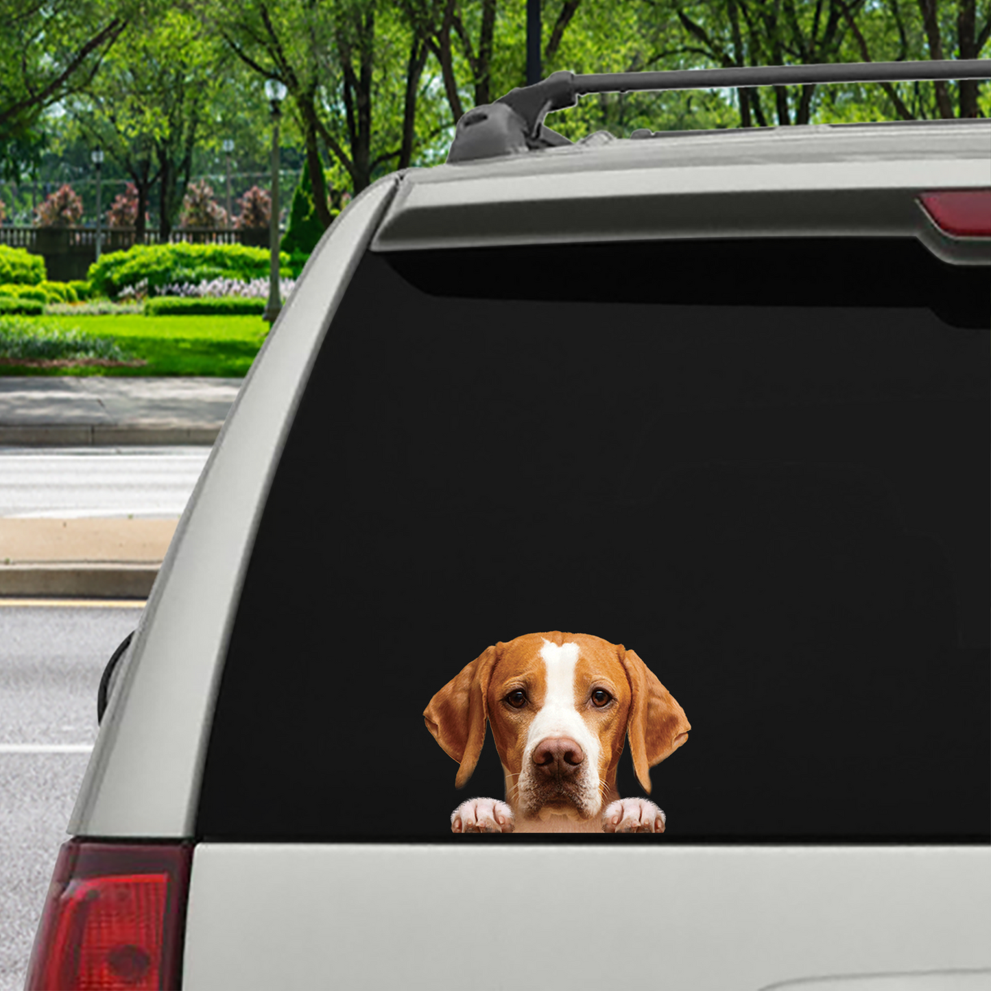 Can You See Me Now - English Pointer Car/ Door/ Fridge/ Laptop Sticker V1