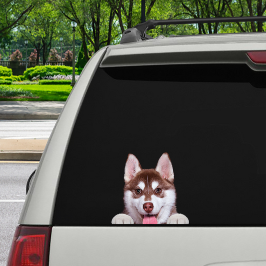 Can You See Me Now - Husky Car/ Door/ Fridge/ Laptop Sticker V2