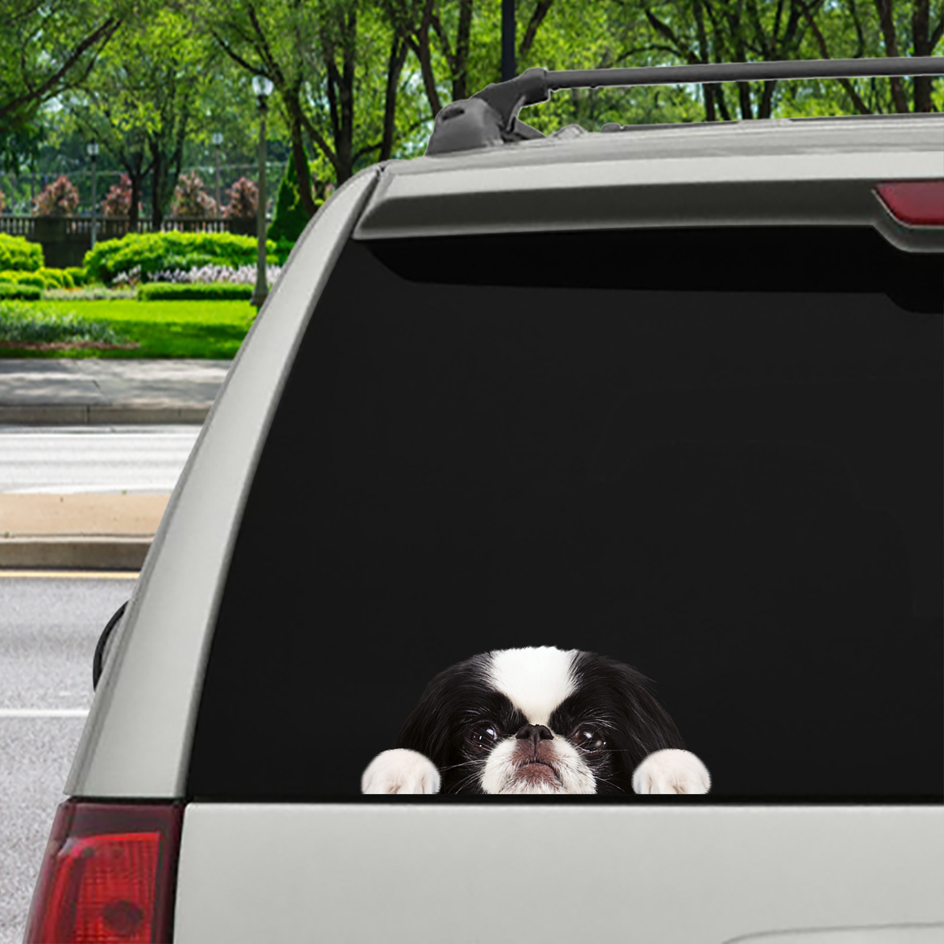 Can You See Me Now - Japanese Chin Car/ Door/ Fridge/ Laptop Sticker V1