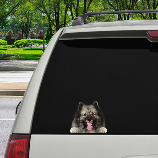 Can You See Me Now - Keeshond Car/ Door/ Fridge/ Laptop Sticker V1